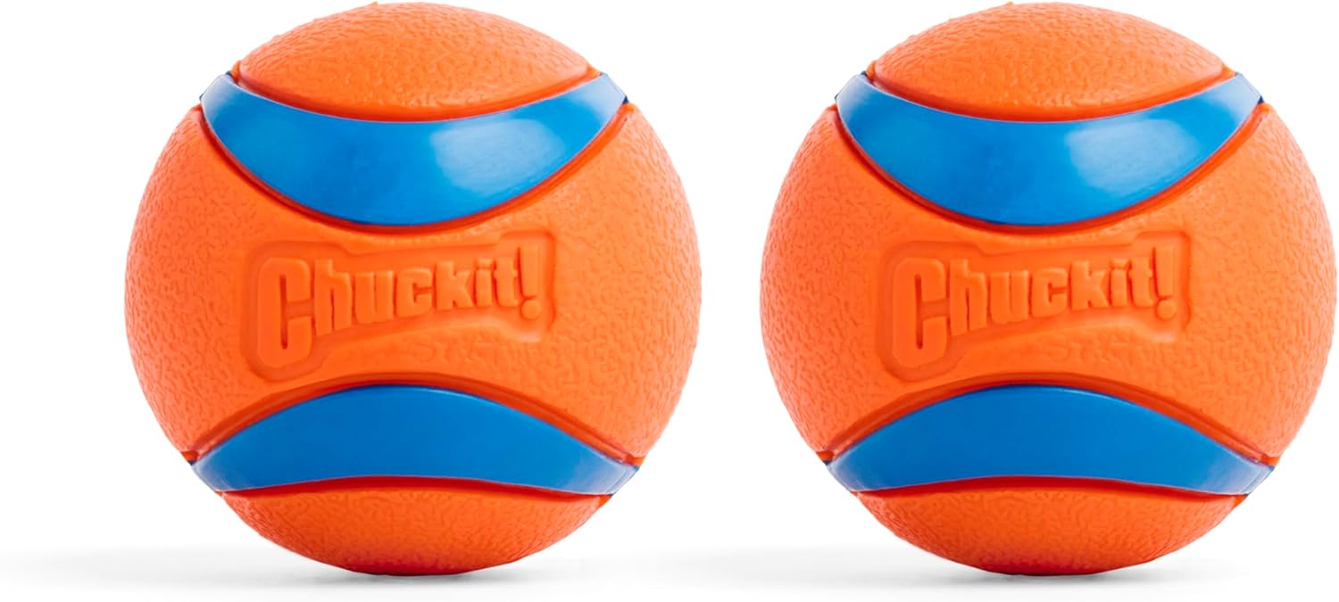 Chuckit! Ultra Ball Dog Toy